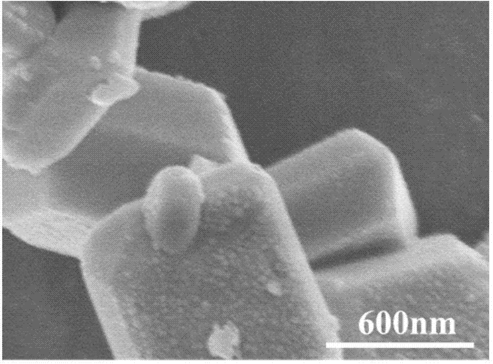 Silver phosphate-bismuth vanadate multiplex photocatalyst and preparation method thereof