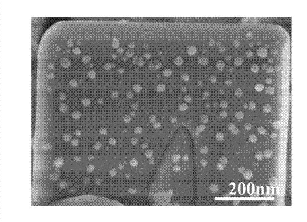 Silver phosphate-bismuth vanadate multiplex photocatalyst and preparation method thereof