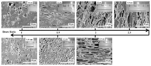 A kind of preparation method of polylactic acid porous shape memory film