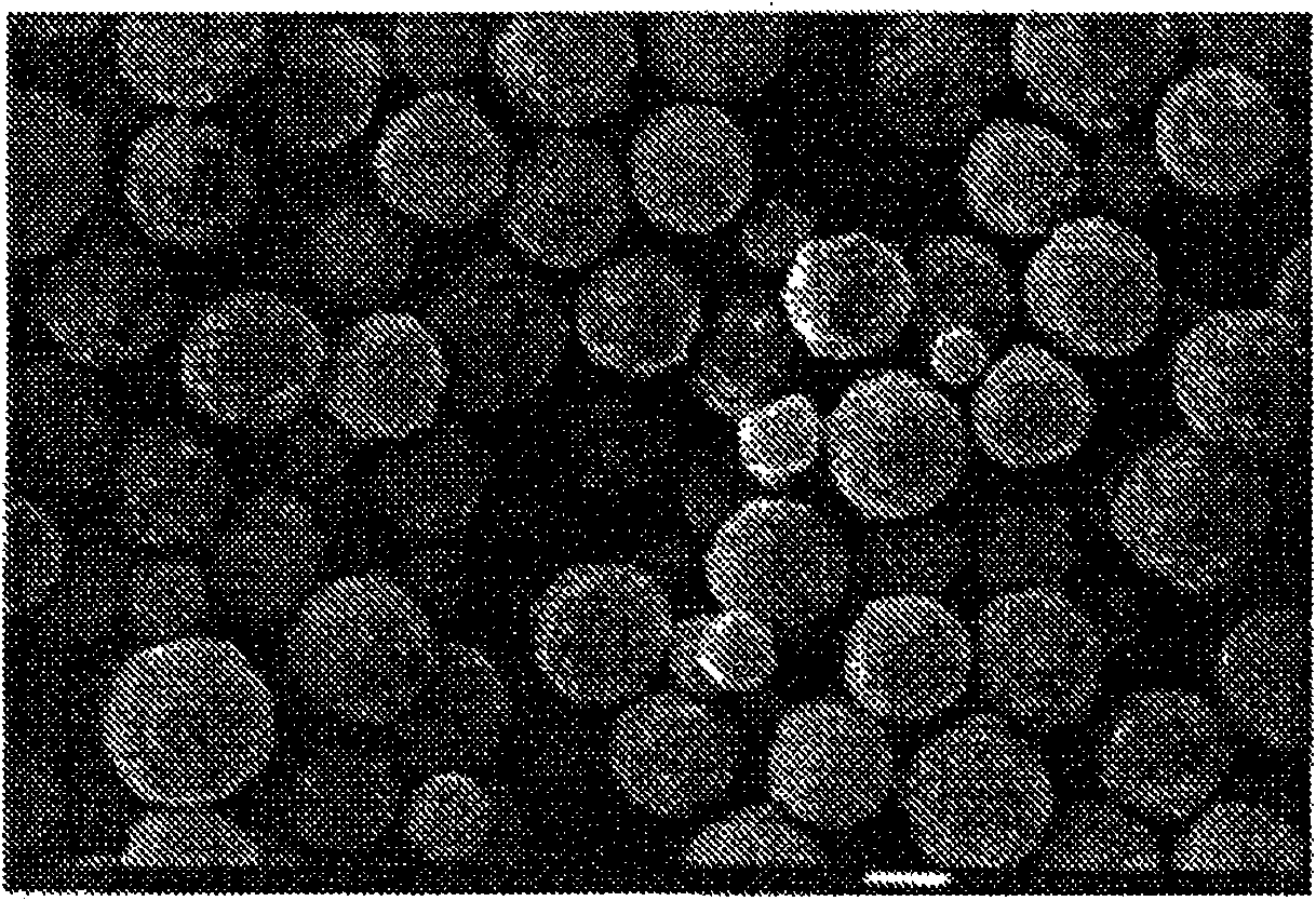 Fine silver particle, process for producing fine silver particle, and apparatus for producing fine silver particle