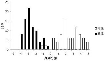 The Method of Distinguishing the Male and Female of Squid Mansoni