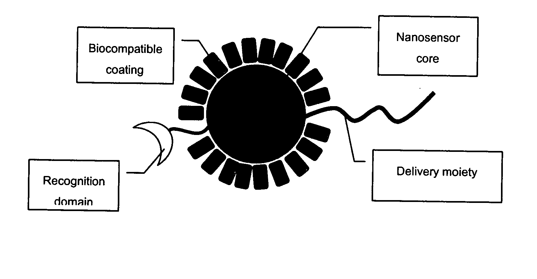 Detection of ion channel or receptor activity