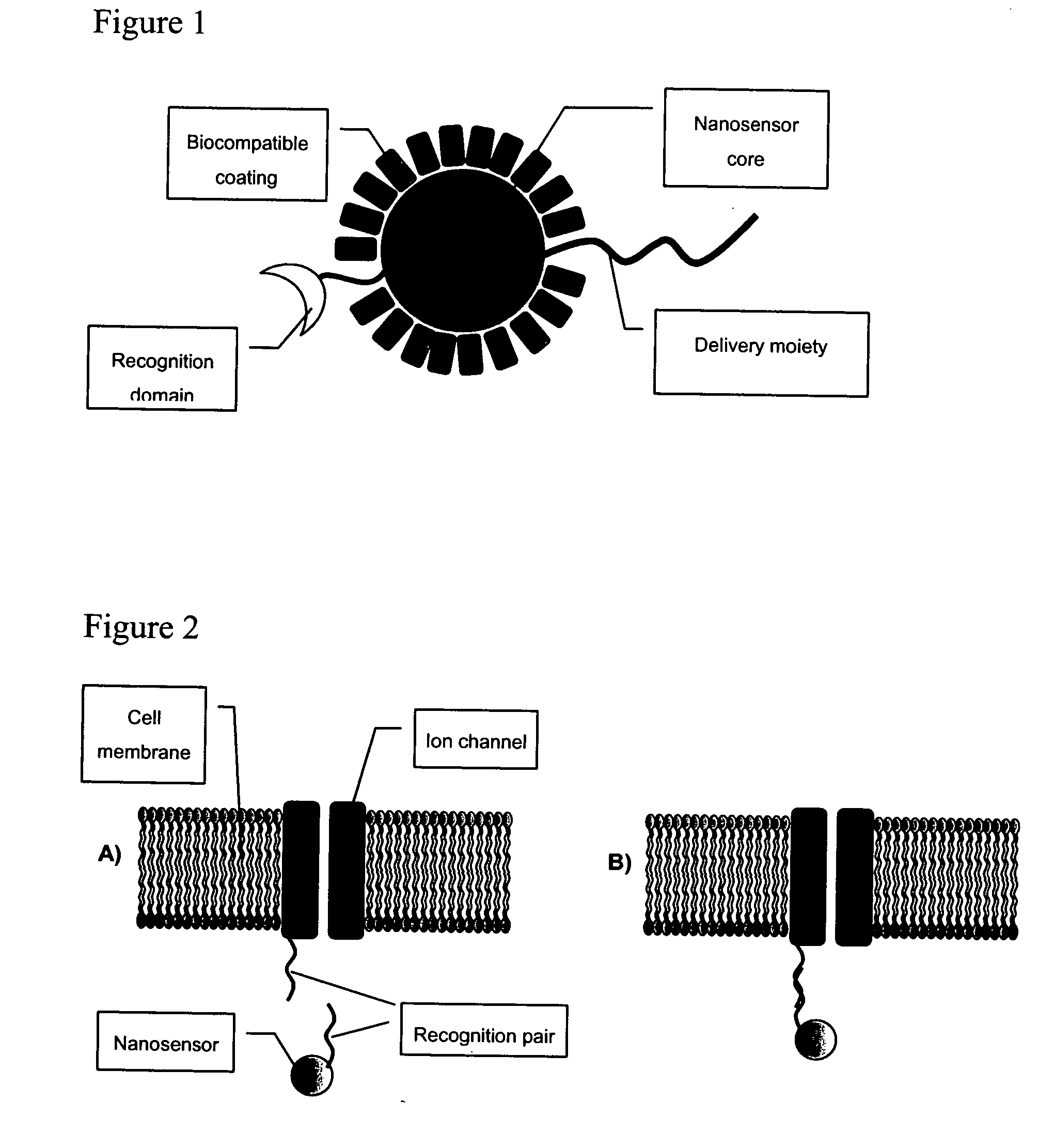 Detection of ion channel or receptor activity