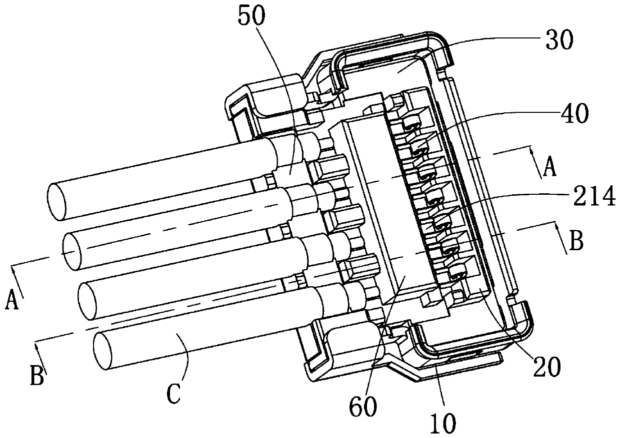 Radio frequency plug and manufacturing method thereof