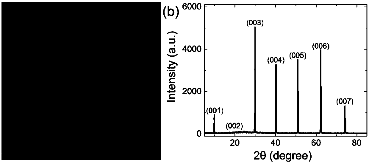 Oxide thermoelectric material BiCuSeO single crystal and preparation method thereof