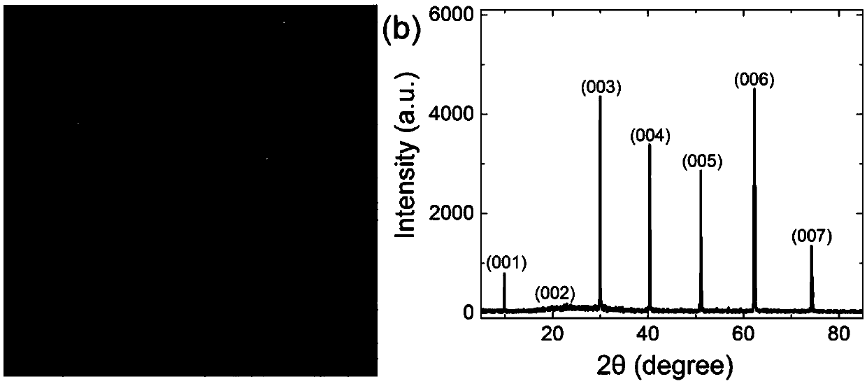 Oxide thermoelectric material BiCuSeO single crystal and preparation method thereof