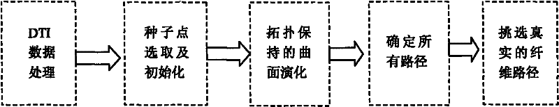 Fast-marching fiber tracking method based on topology preservation