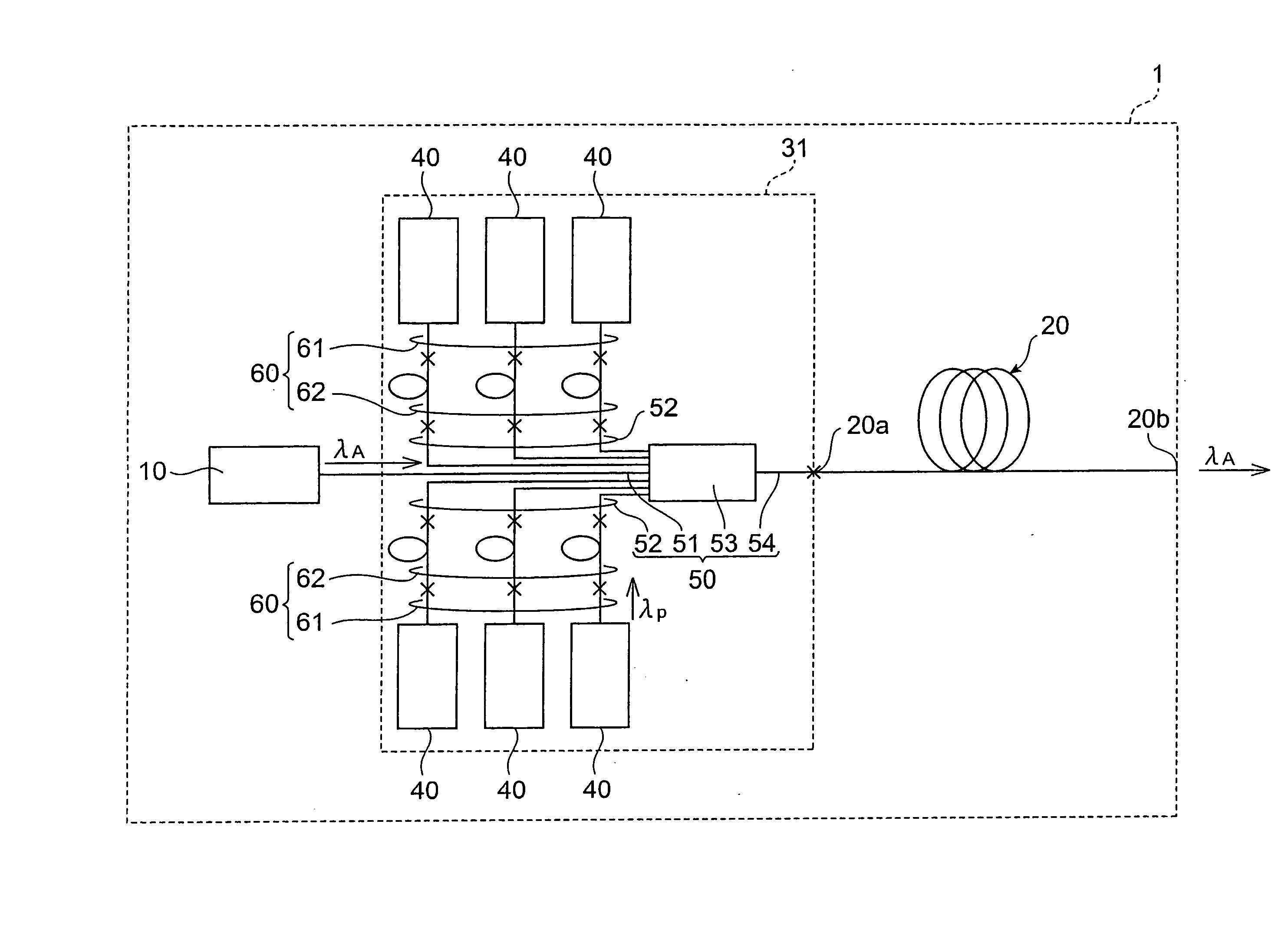 Optical module and optical amplification module