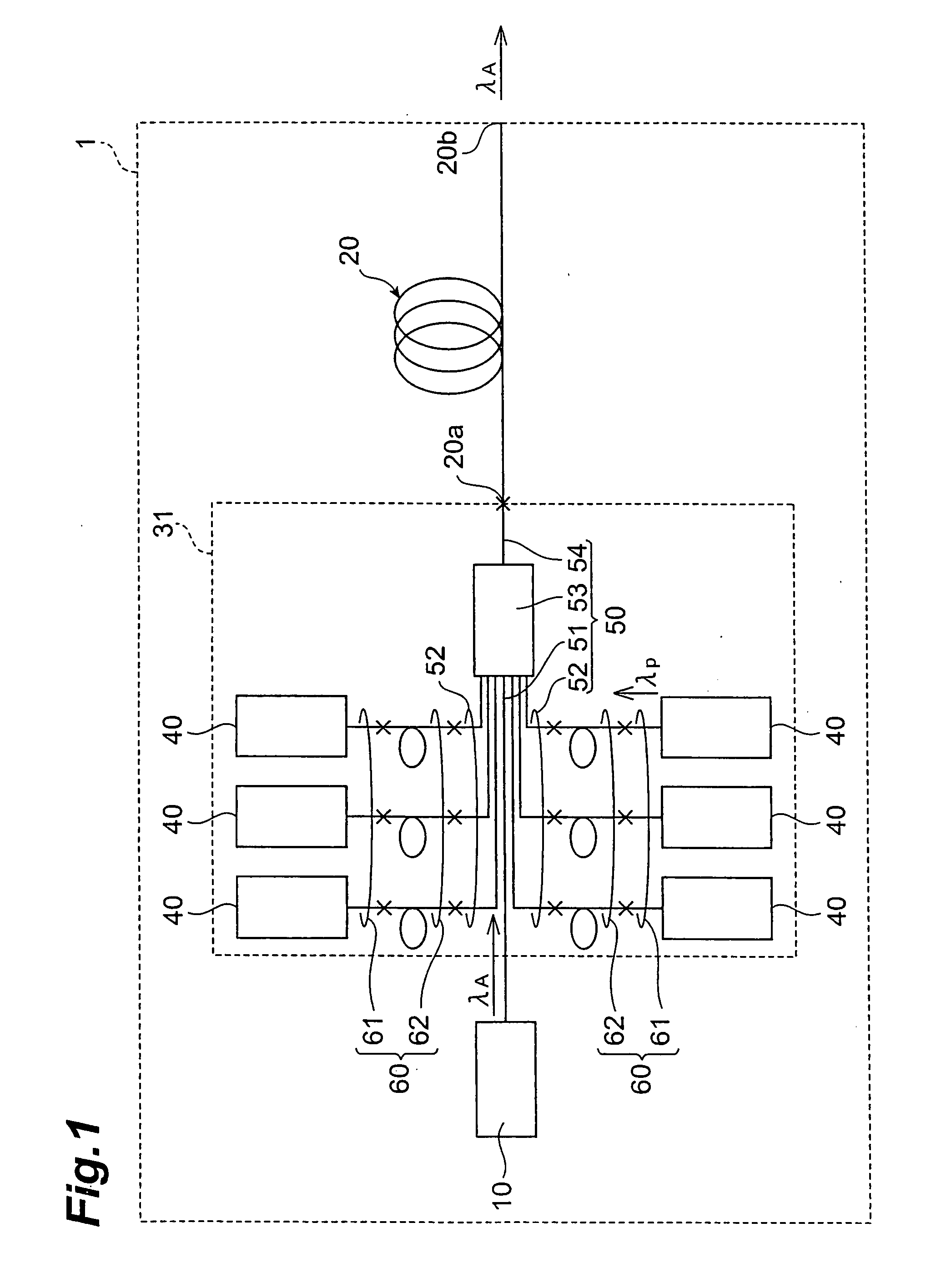 Optical module and optical amplification module