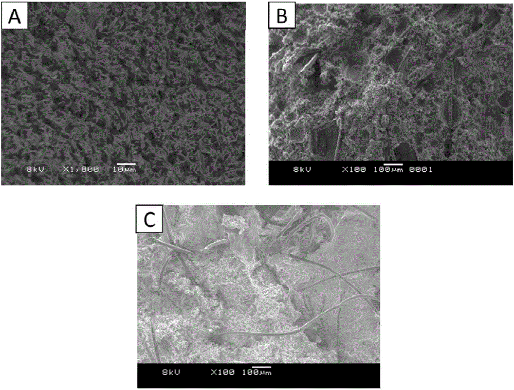 Method for preparing three-dimensional porous oil absorption material