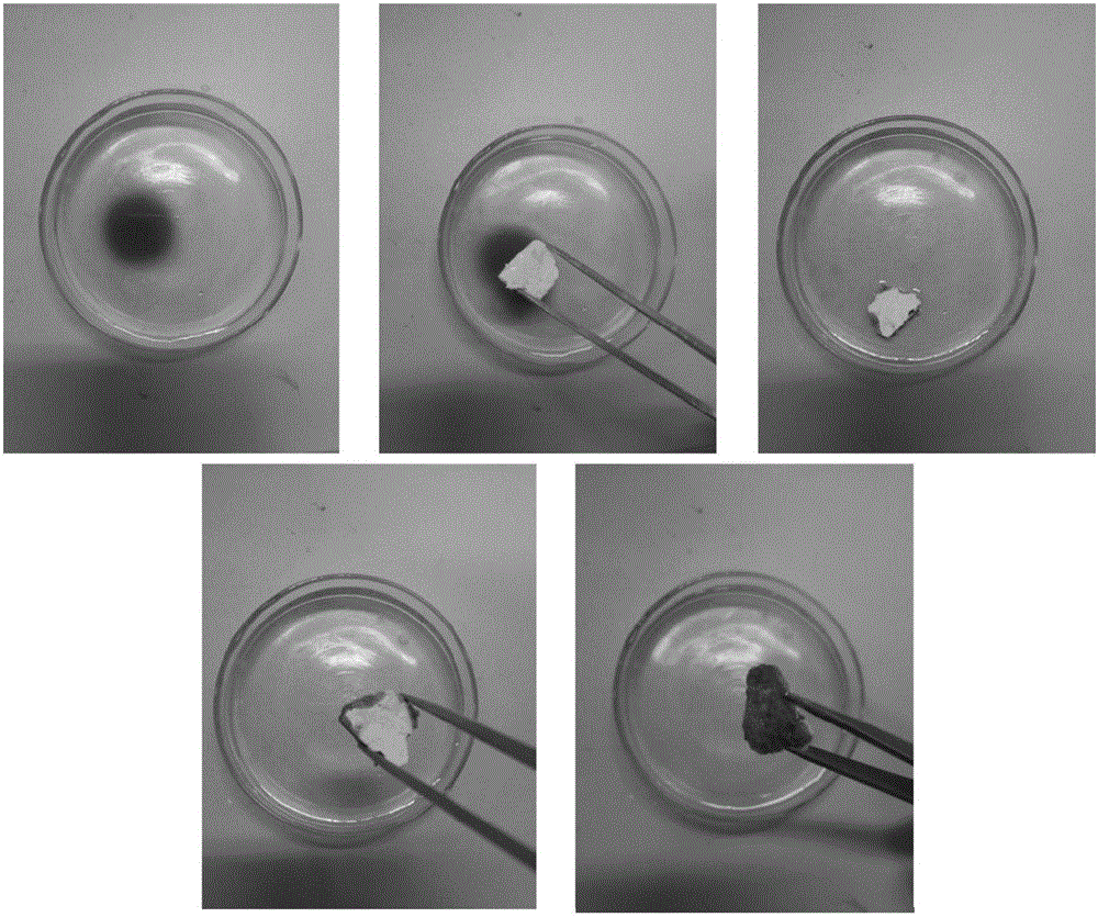 Method for preparing three-dimensional porous oil absorption material