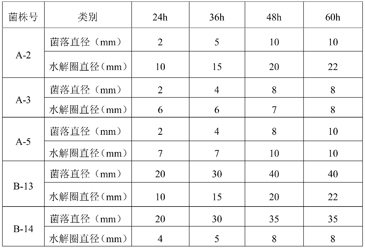 Aspergillus awamori, microbial inoculum and application thereof