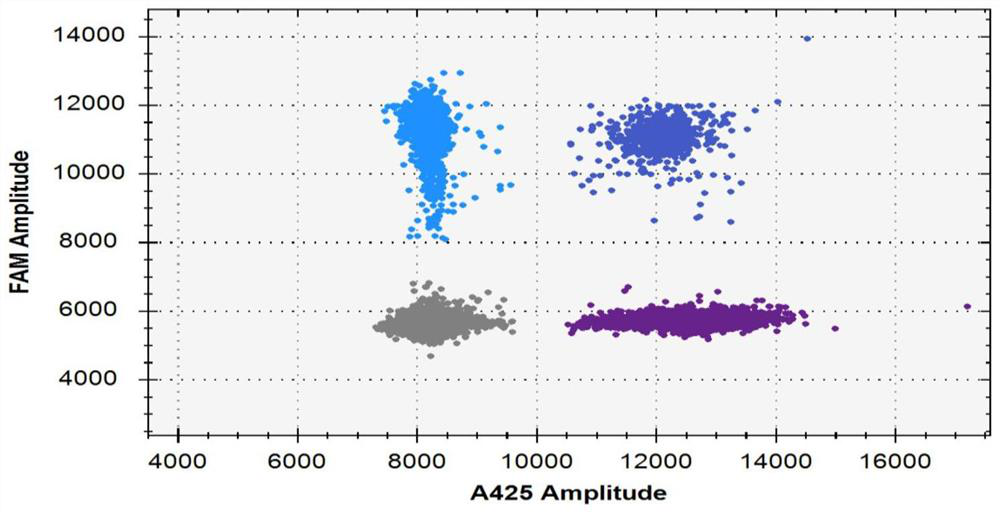 Primers and digital PCR kit for detecting infectious endocarditis pathogens