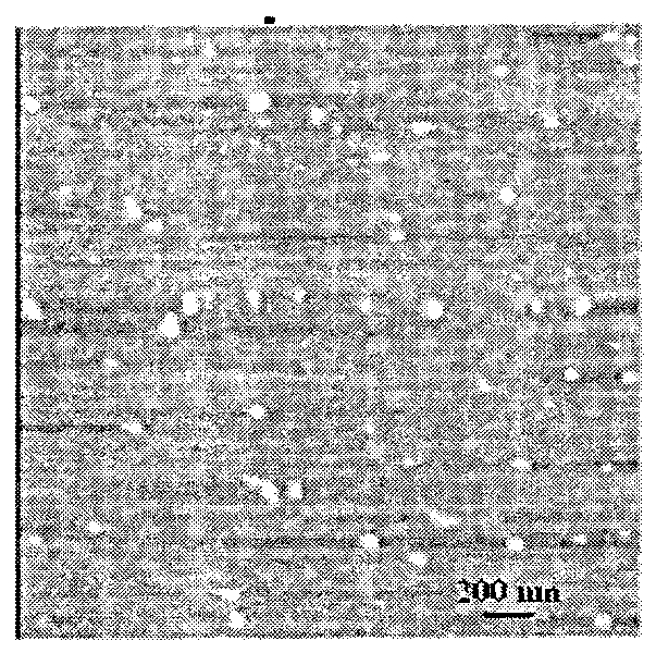 Modified chitosan targeted medicament carrying nano microsphere and preparation method thereof