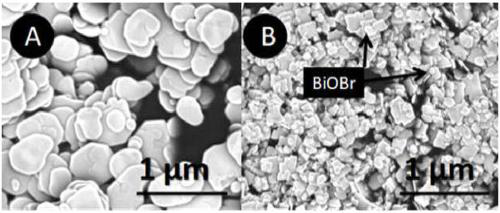 Preparation method and using method of bromine-oxygen-bismuth photocatalytic composite material for oily sewage treatment