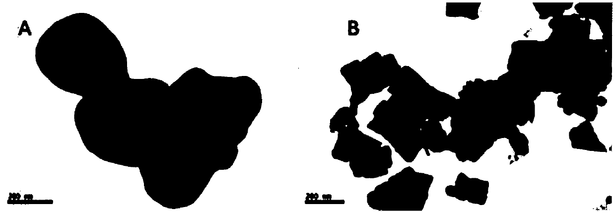 Preparation method and using method of bromine-oxygen-bismuth photocatalytic composite material for oily sewage treatment