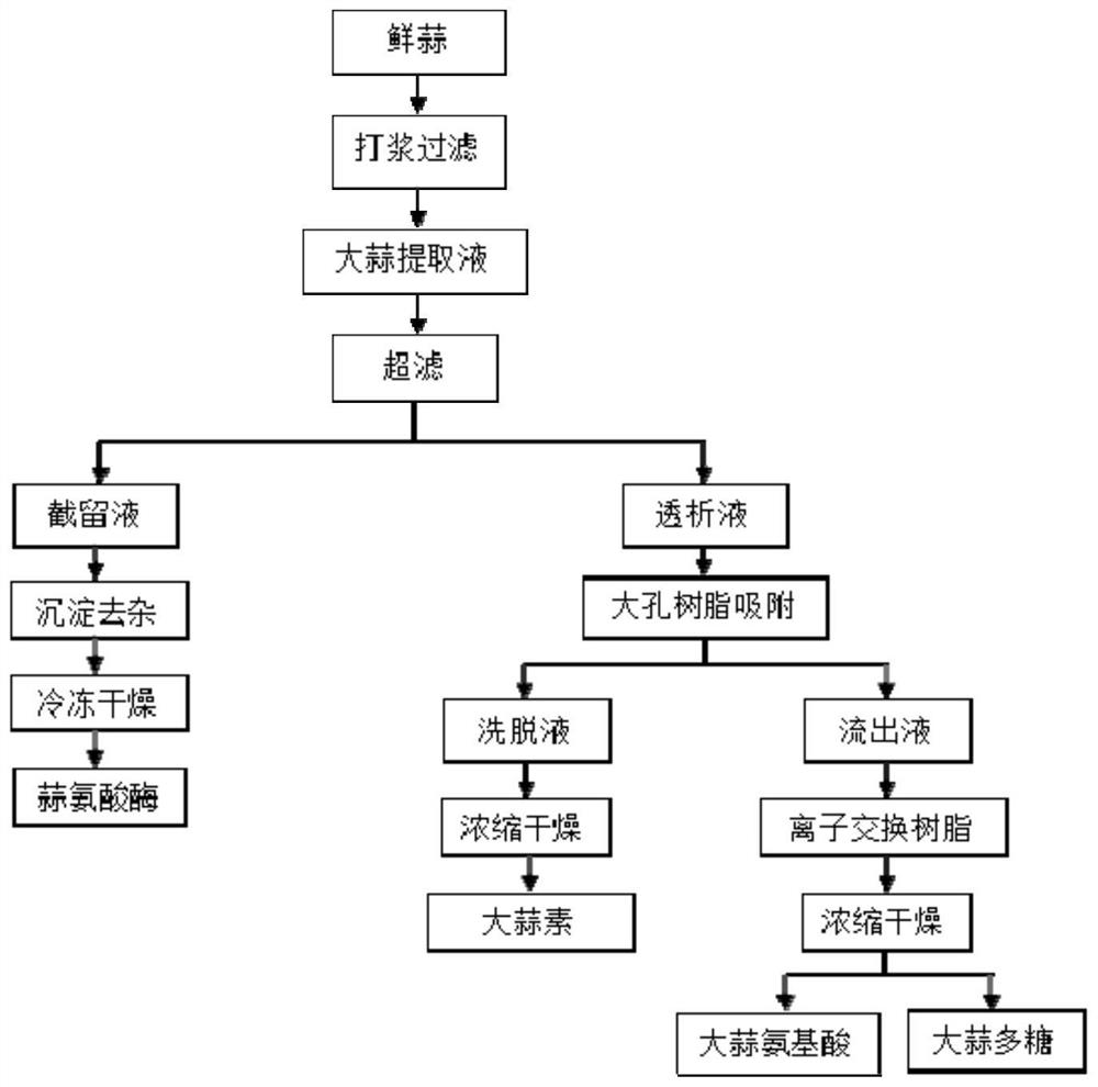 Combined preparation method of garlic extract