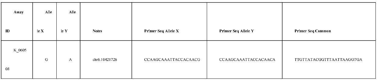 SNP marker developing and application of rice broad-spectrum rice blast resistance gene Pigm