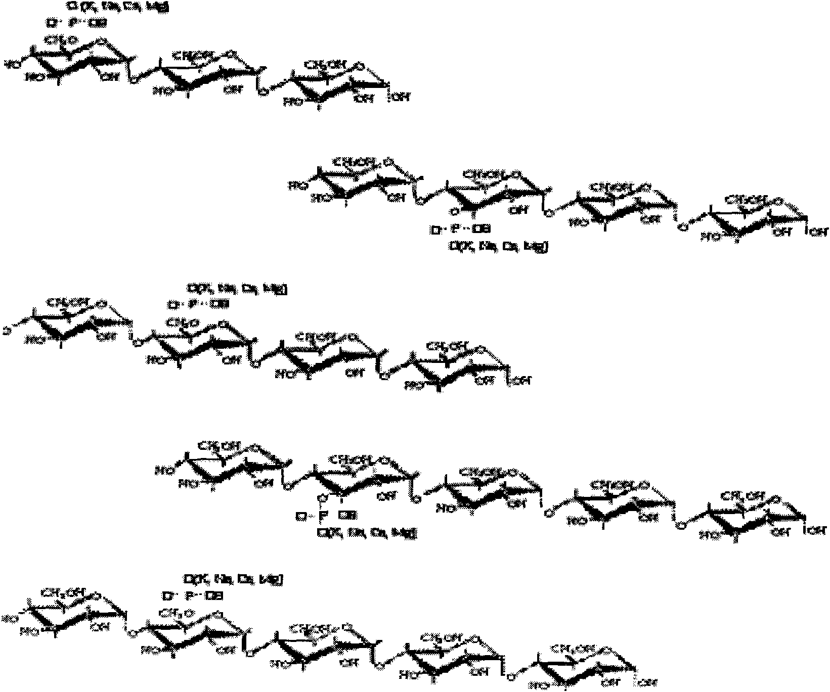 Method for preparing phosphoryl oligosaccharide by holoenzyme method