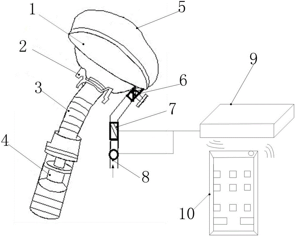 Integrated crissum irrigation atomizer