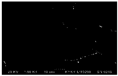 Continuous casting method of steel for sulfuric acid dew point corrosion resistance