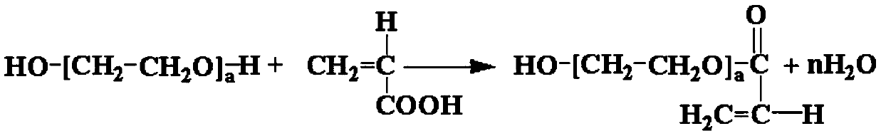 Highly-adaptable polycarboxylic acid water reducer and synthesis method thereof