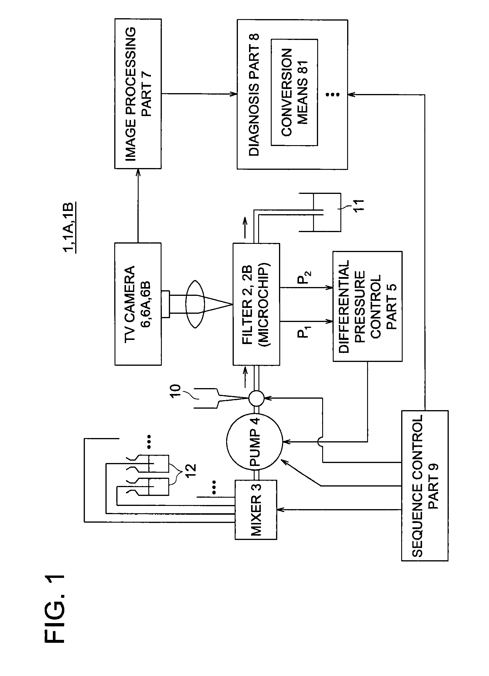 Blood fluidity measurement system and blood fluidity measurement method