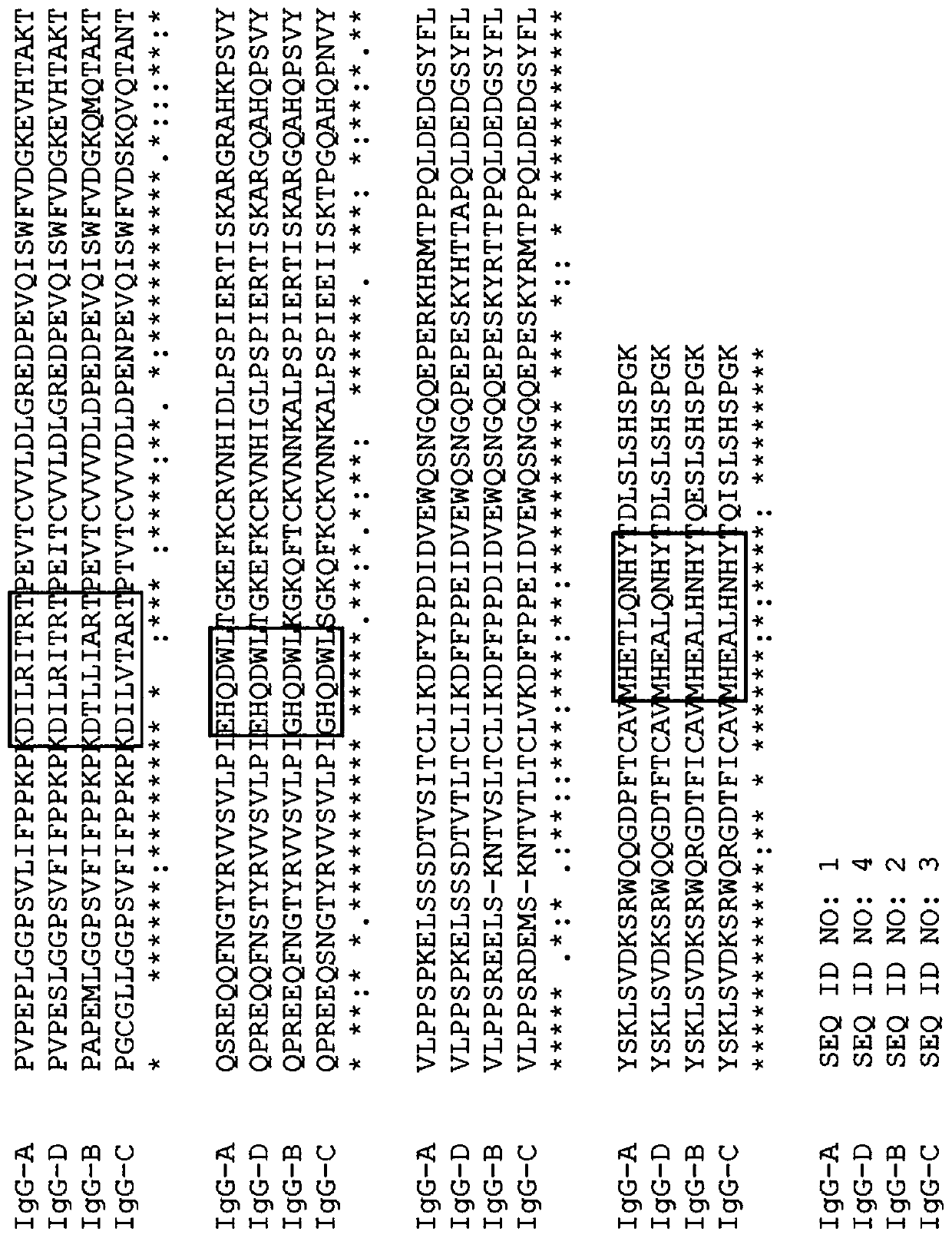 IgG Fc VARIANTS FOR VETERINARY USE