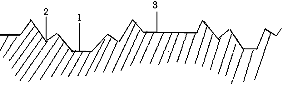 Supplemental ditch planting method of vegetables