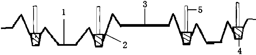 Supplemental ditch planting method of vegetables