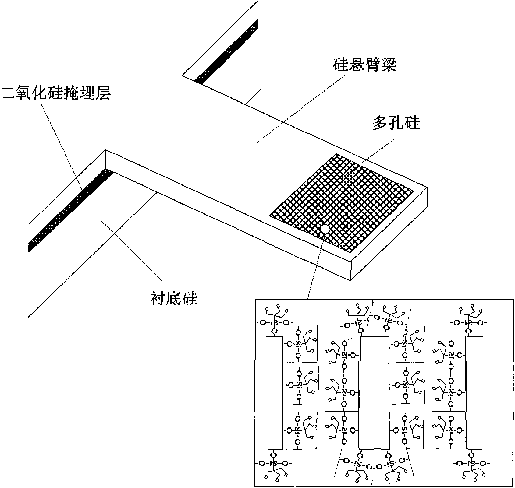 Silicon cantilever sensor, preparation method and application thereof