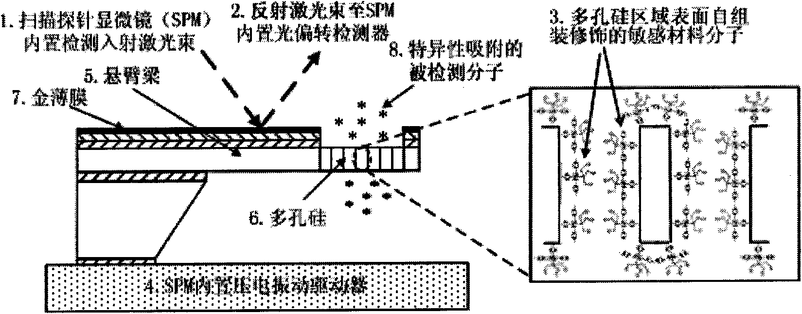 Silicon cantilever sensor, preparation method and application thereof