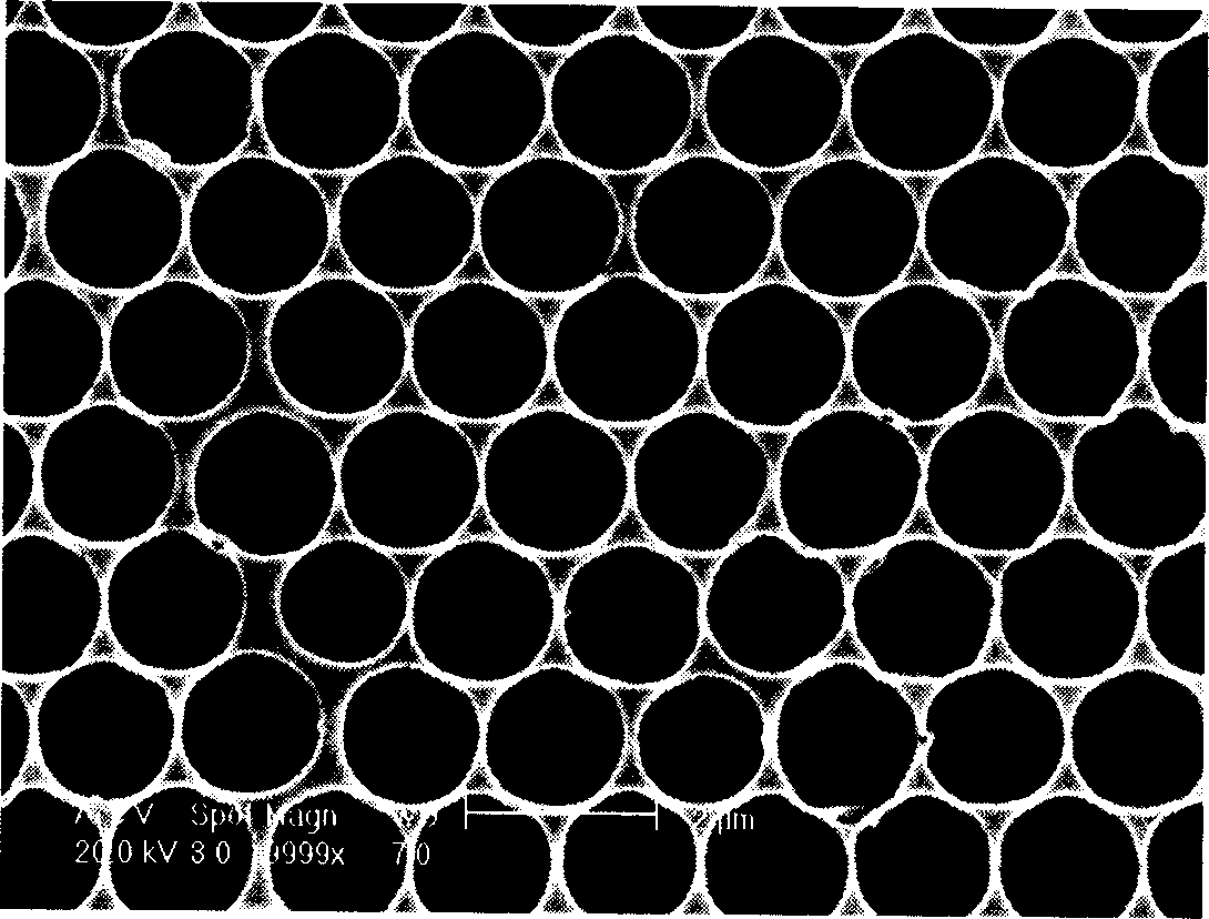 Prepn of submicron/micron micro lens array on polymer surface