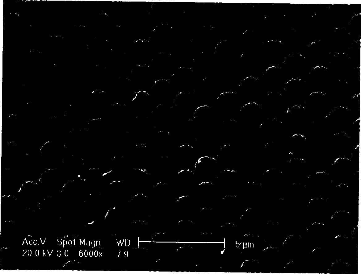 Prepn of submicron/micron micro lens array on polymer surface