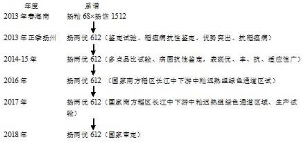 Breeding method of high-quality and high-yielding two-line hybrid indica rice combination with blast resistance