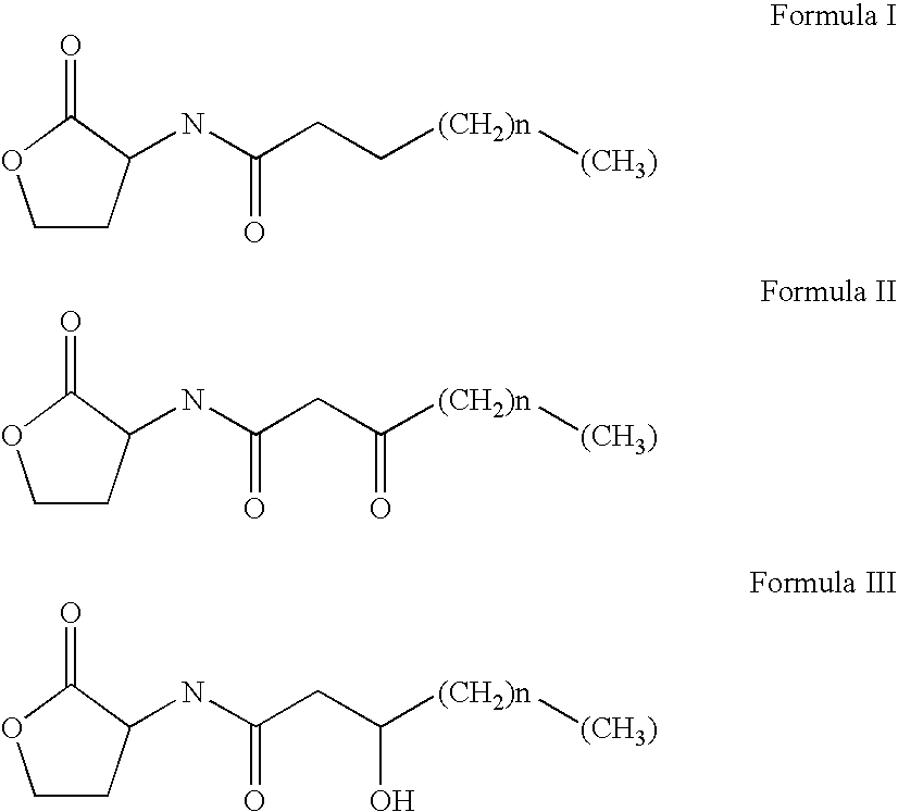 Methods for the treatment of an infectious bacterial disease with an anti-lactone or lactone derived signal molecules antibody