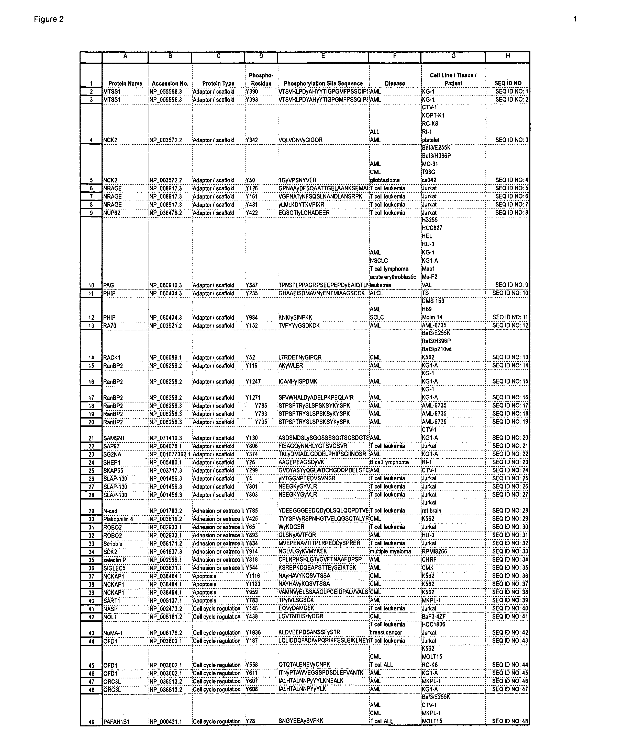 Reagents for the detection of protein phosphorylation in signaling pathways