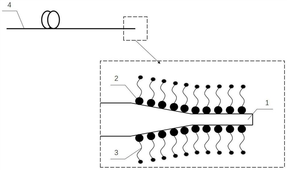 Conical-cylindrical optical fiber SERS (Surface Enhanced Raman Scattering) sensor for detecting trace mercury ions