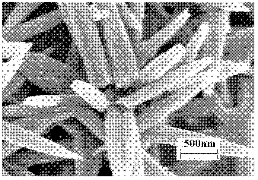 One-dimensional mesoporous crystal zinc oxide based nickel-doped diluted magnetic semiconductor and preparation method thereof