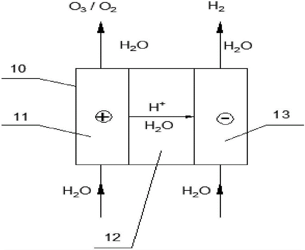 Proton exchange membrane water electrolysis ozone/oxygen generation device with self-purifying function