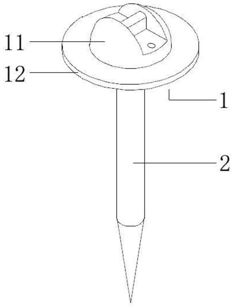 Screw for bone fixing