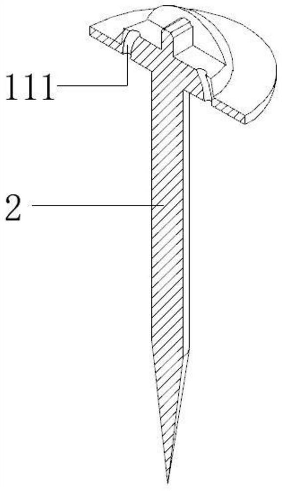 Screw for bone fixing