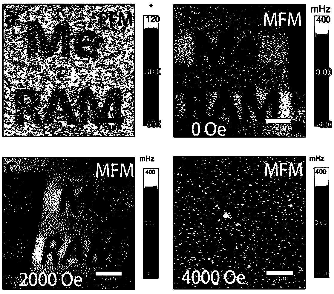 Single-phase multiferroic thin film and preparation method and application thereof