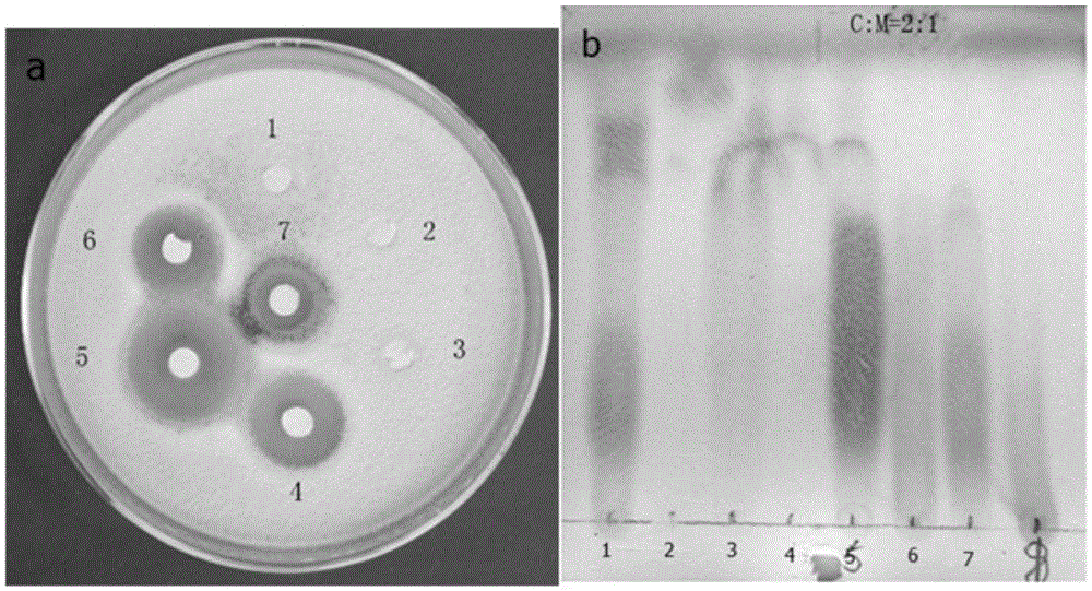 Bactericidal compound and preparation method thereof