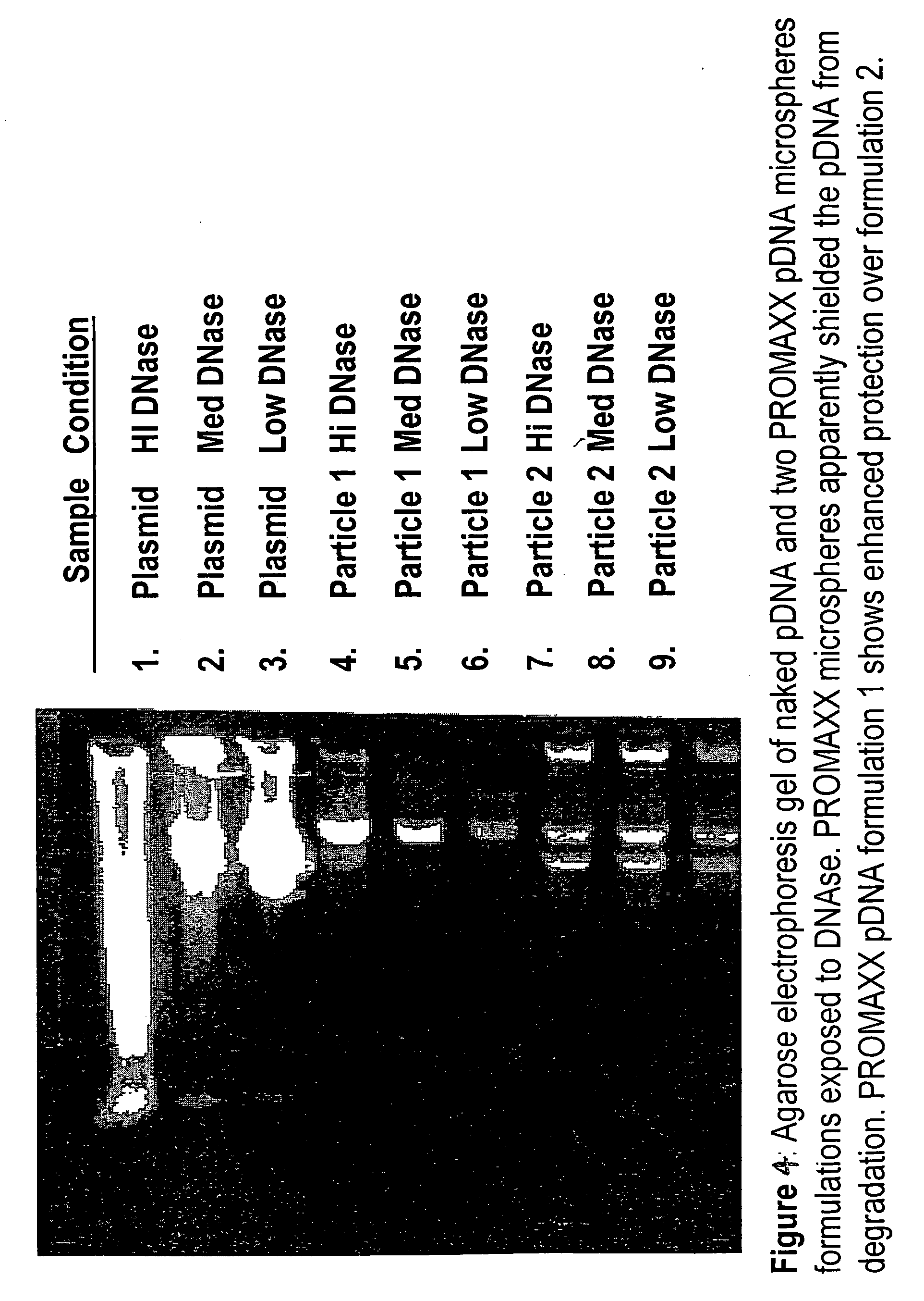 Delivery of as-oligonucleotide microspheres to induce dendritic cell tolerance for the treatment of autoimmune type 1 diabetes