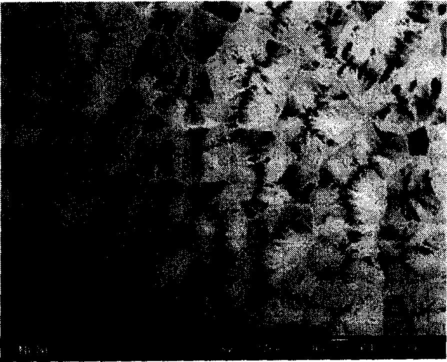 Hydrophobic composite polymer film in micron and nanometer structure and its prepn