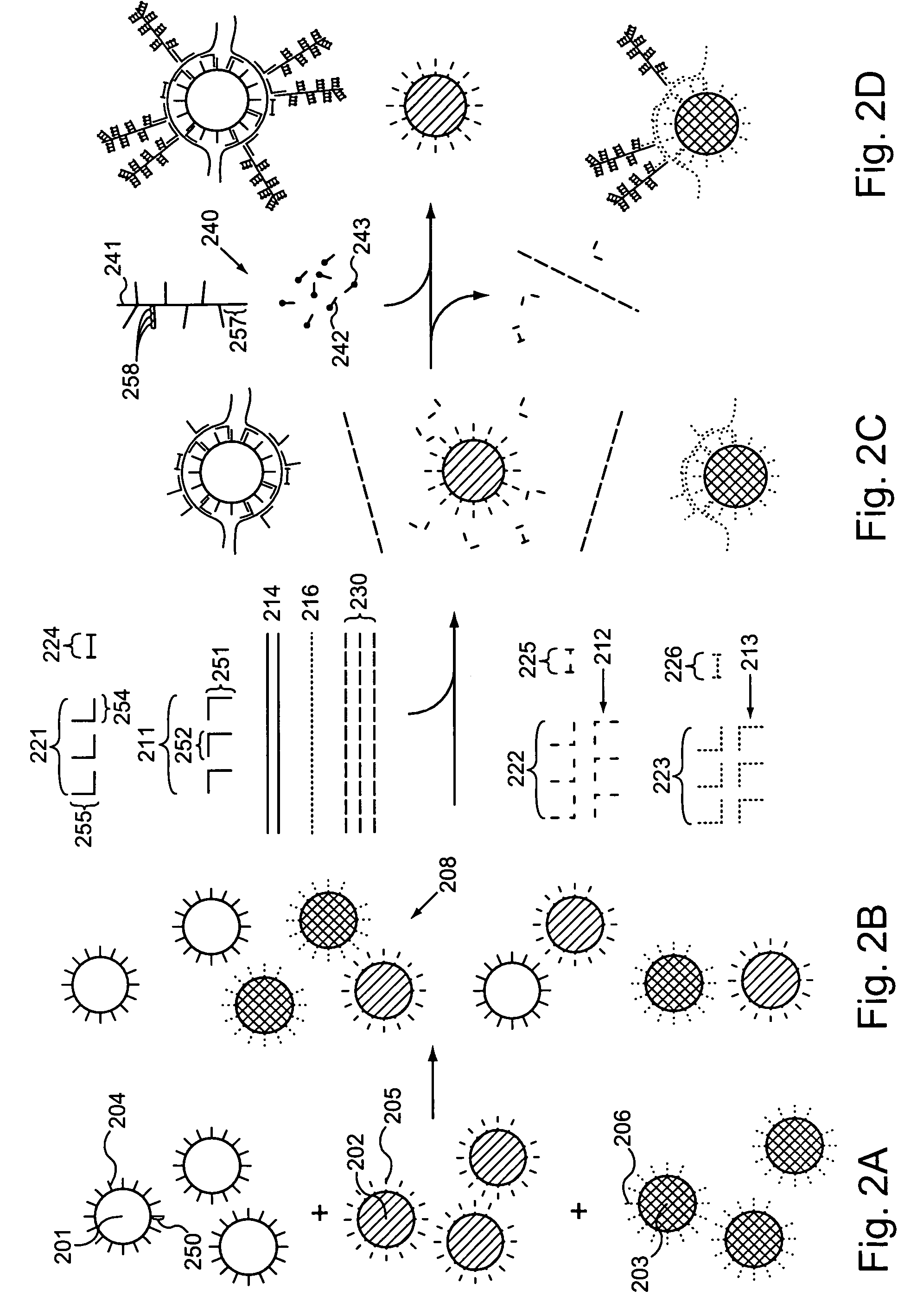 Multiplex branched-chain DNA assays