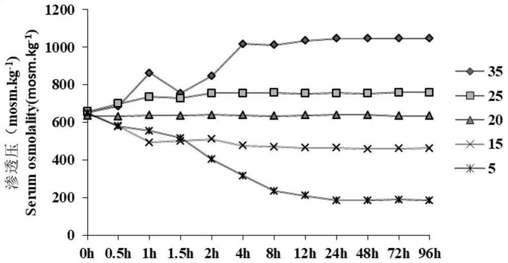 Method for screening sinonovacula constricta with strong salt tolerance by utilizing osmotic pressure