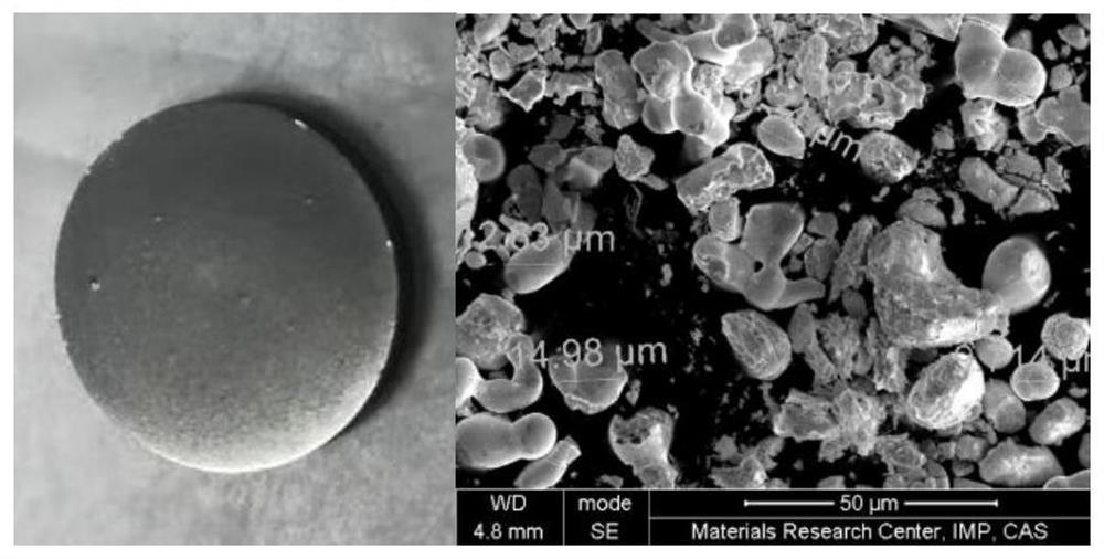 Method for separating and purifying 223Ra from spallation reaction caused by high-energy proton beam irradiation of &lt; 232 &gt; Th target