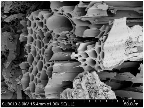 Bacteriophage and application of same to soil remediation